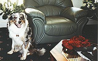 Jed_Floyd.JPG (21939 bytes)