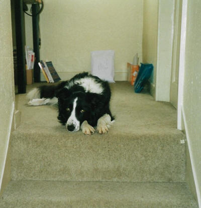 Meg on the stairs
