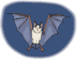 An452.gif (17580 bytes)