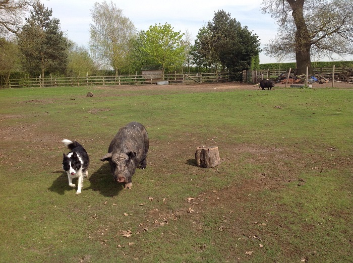 Tess with some friends