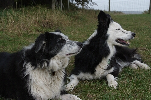 Jess and Tia